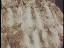 Thumbnail 34
