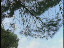 Thumbnail 27