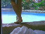 Thumbnail 53