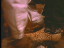Thumbnail 52