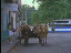 Thumbnail 28