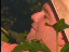 Thumbnail 35