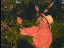 Thumbnail 36