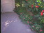 Thumbnail 22