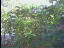 Thumbnail 23