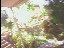 Thumbnail 24
