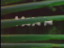 Thumbnail 25