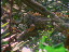 Thumbnail 33