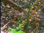 Thumbnail 34