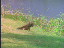 Thumbnail 36