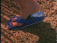 Thumbnail 29