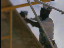 Thumbnail 27