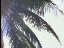 Thumbnail 30
