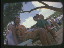 Thumbnail 24
