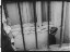 Thumbnail 20