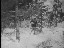 Thumbnail 41