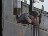 Thumbnail 25