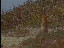Thumbnail 19