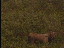 Thumbnail 22