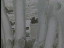 Thumbnail 48