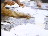 Thumbnail 17