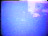 Thumbnail 98