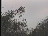 Thumbnail 22