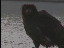 Thumbnail 47