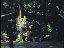 Thumbnail 27