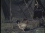 Thumbnail 32