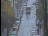 Thumbnail 22