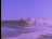 Thumbnail 45