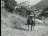 Thumbnail 36
