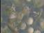 Thumbnail 35