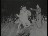 Thumbnail 67