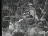 Thumbnail 22