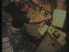 Thumbnail 22