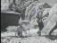 Thumbnail 28