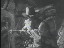 Thumbnail 35