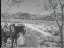 Thumbnail 41