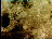 Thumbnail 21