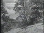 Thumbnail 33