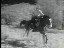 Thumbnail 22