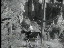 Thumbnail 49