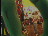 Thumbnail 56