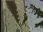 Thumbnail 60