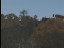 Thumbnail 26