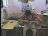 Thumbnail 24