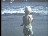Thumbnail 26