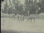 Thumbnail 22